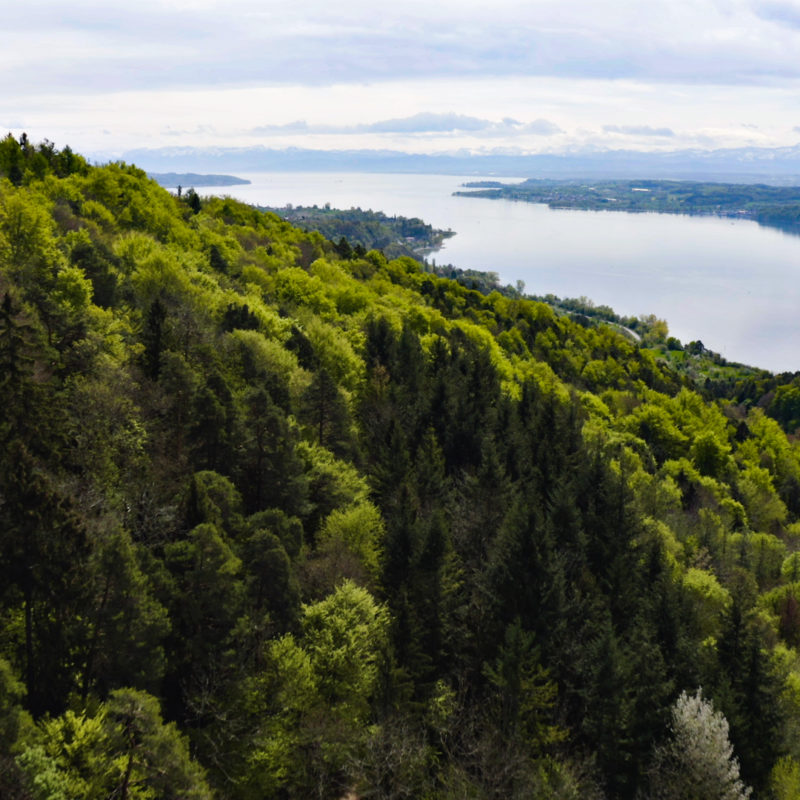 Kristallklares Trinkwasser aus dem Bodensee